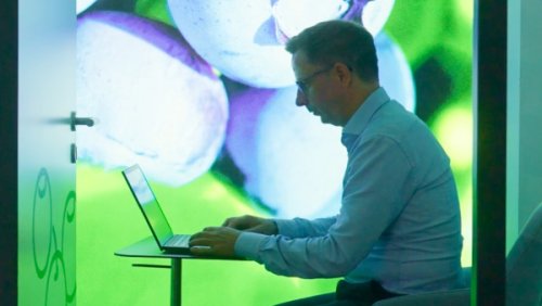 Man working in his laptop