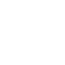 The British Heart Foundation
