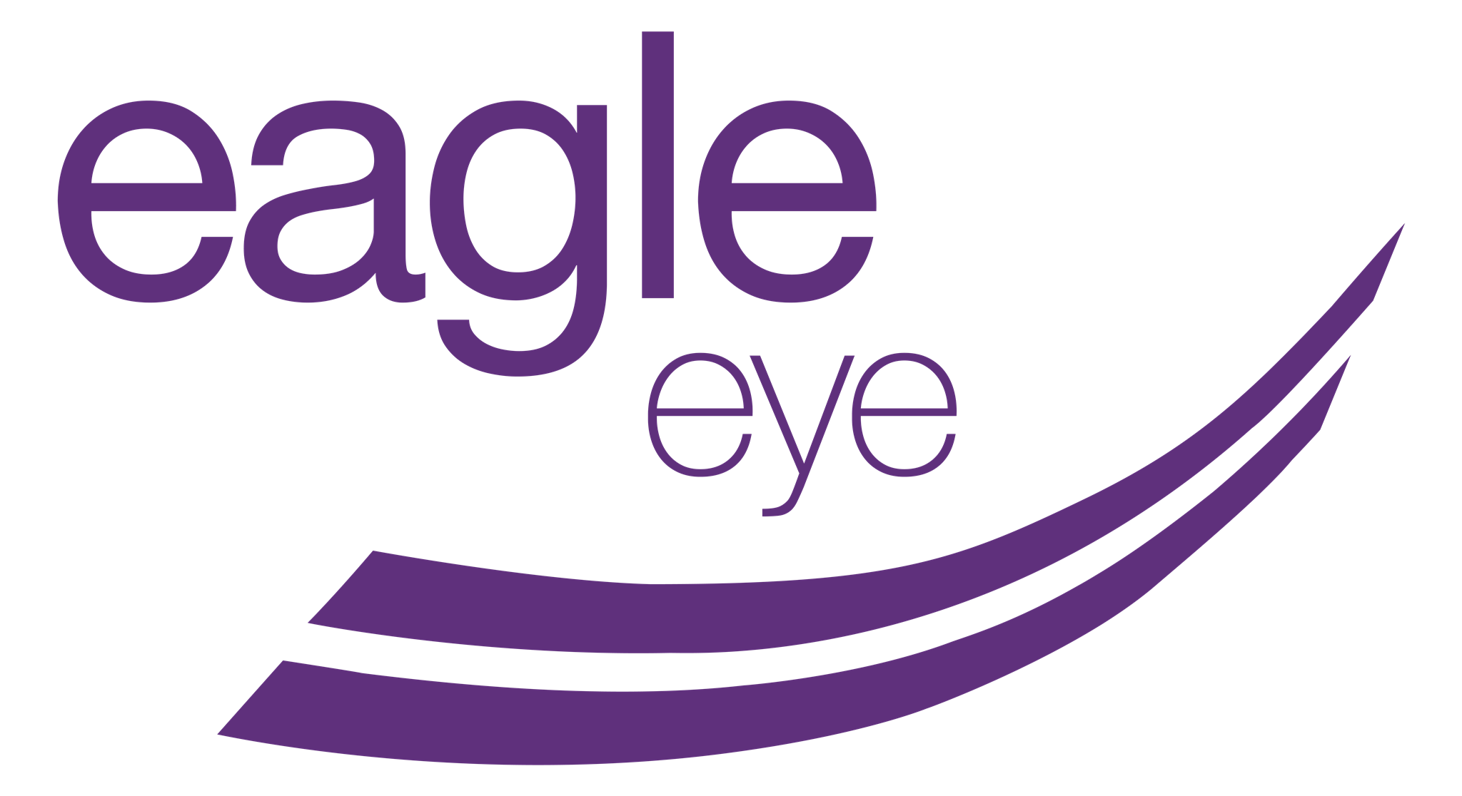 Eagle Eye logo