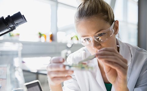 Women working in a lab