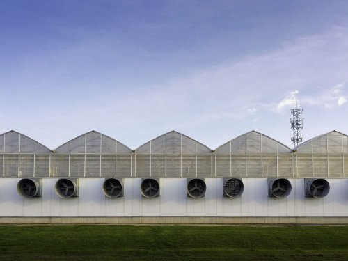 greenhouses
