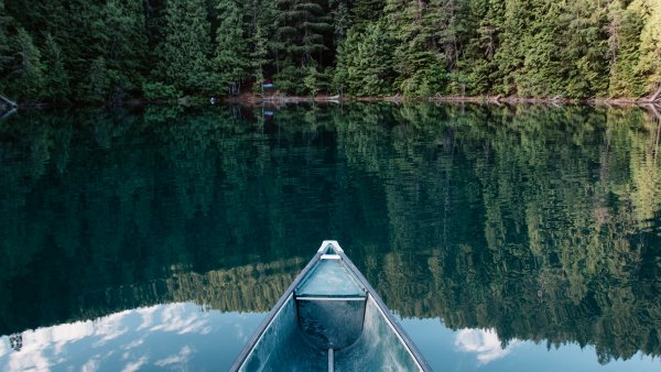 boat in the woods 